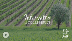 Intervallo sui Colli Berici